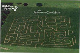 Adventure Maze