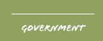 government
