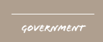 government
