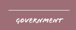 government