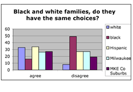 graph 1 image