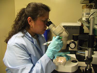 intern image