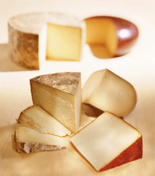 cheese photo