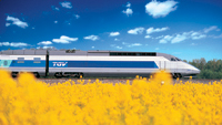 rapid rail