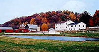 white house