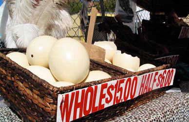 Eggs