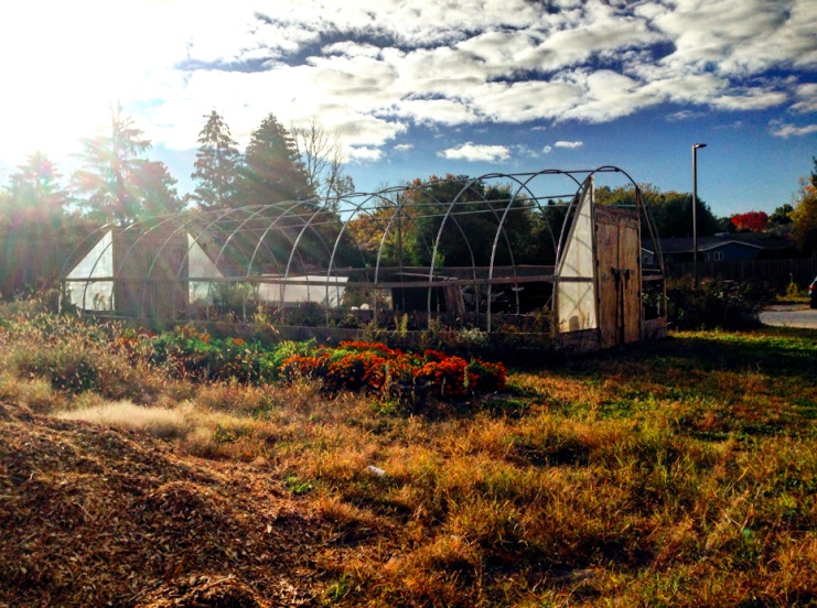 The sun shines over a south Madison hoop house. Photo by Annaleigh Wetzel