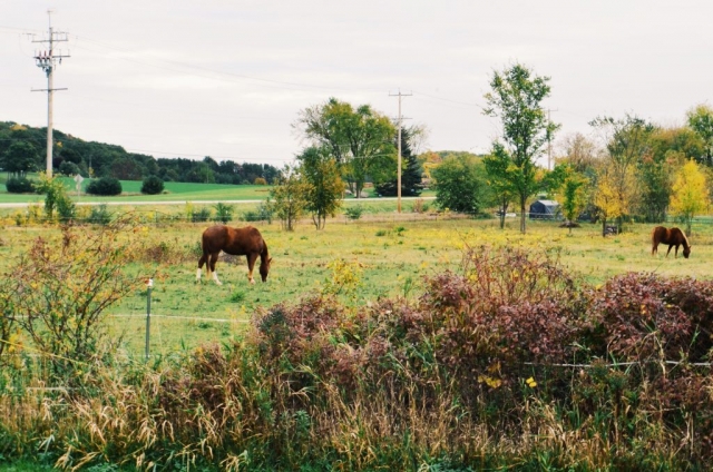 Backroads, vast farm fields and vibrant greenery are dotted along the outskirts of the city.