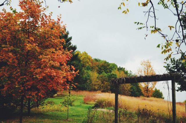 During the fall, the many trees change to jewel-toned autumn hues.