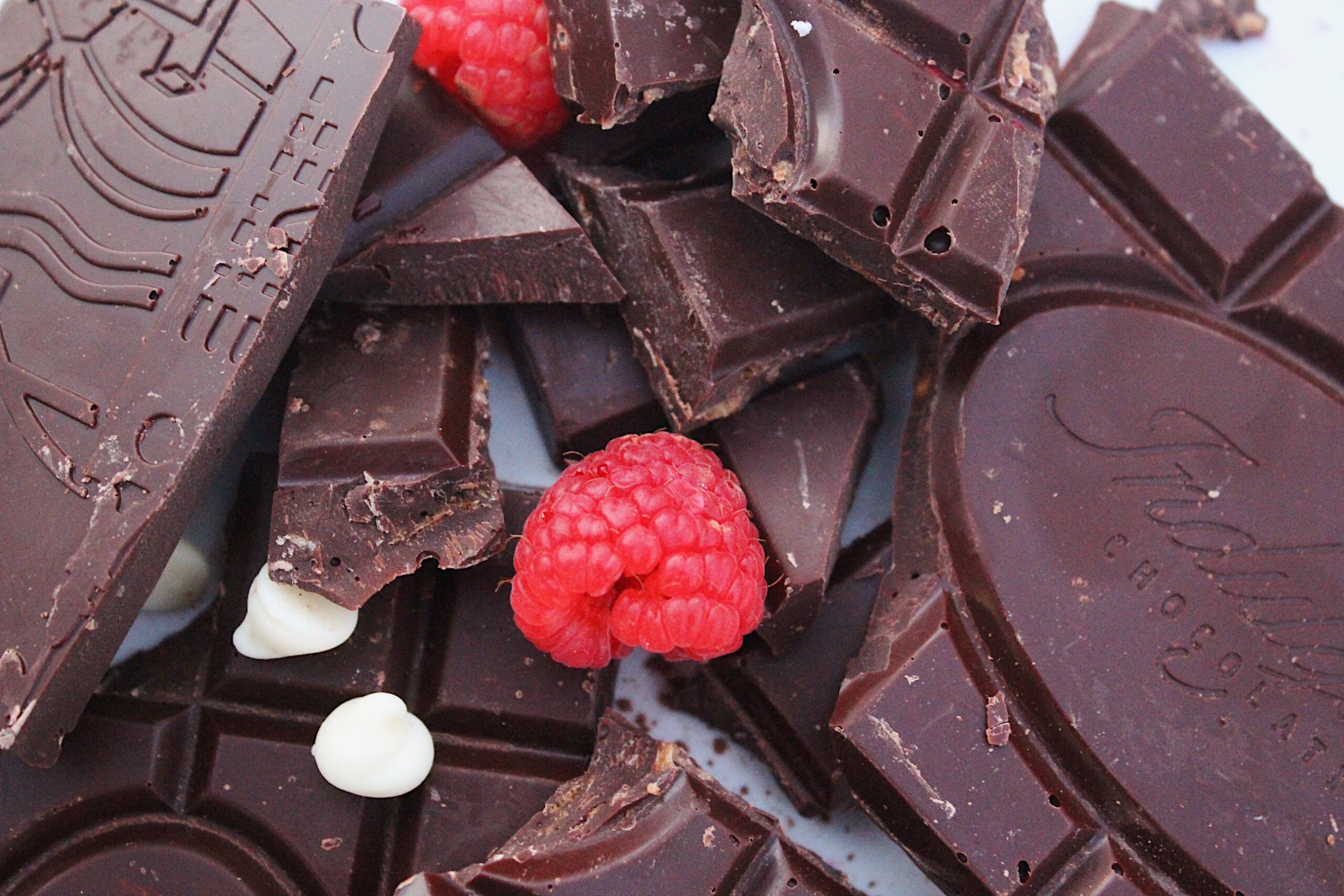 Fidziukiewicz_Maya_1ChocolatePile_11.2.21