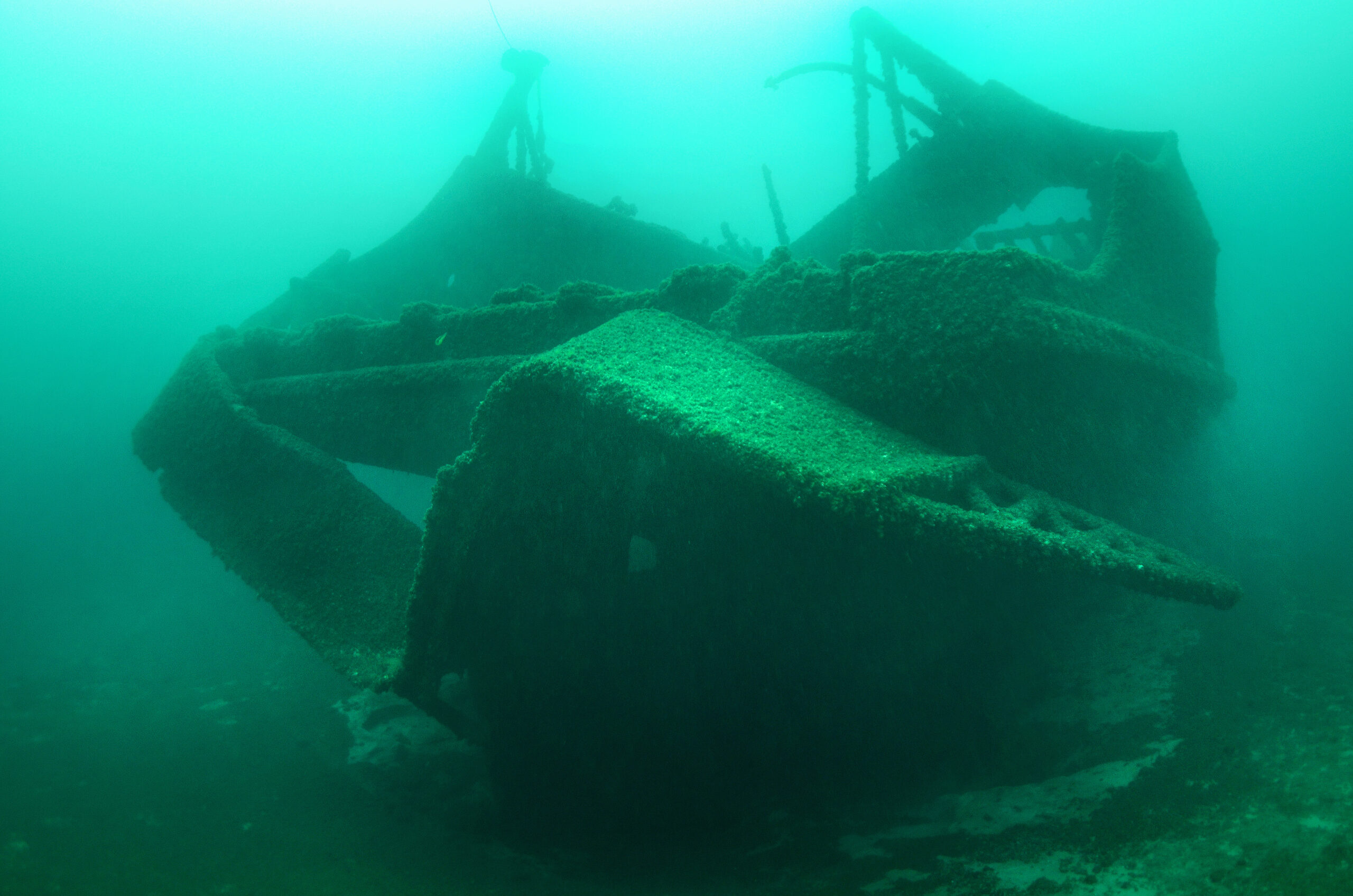 Milwaukee seagate