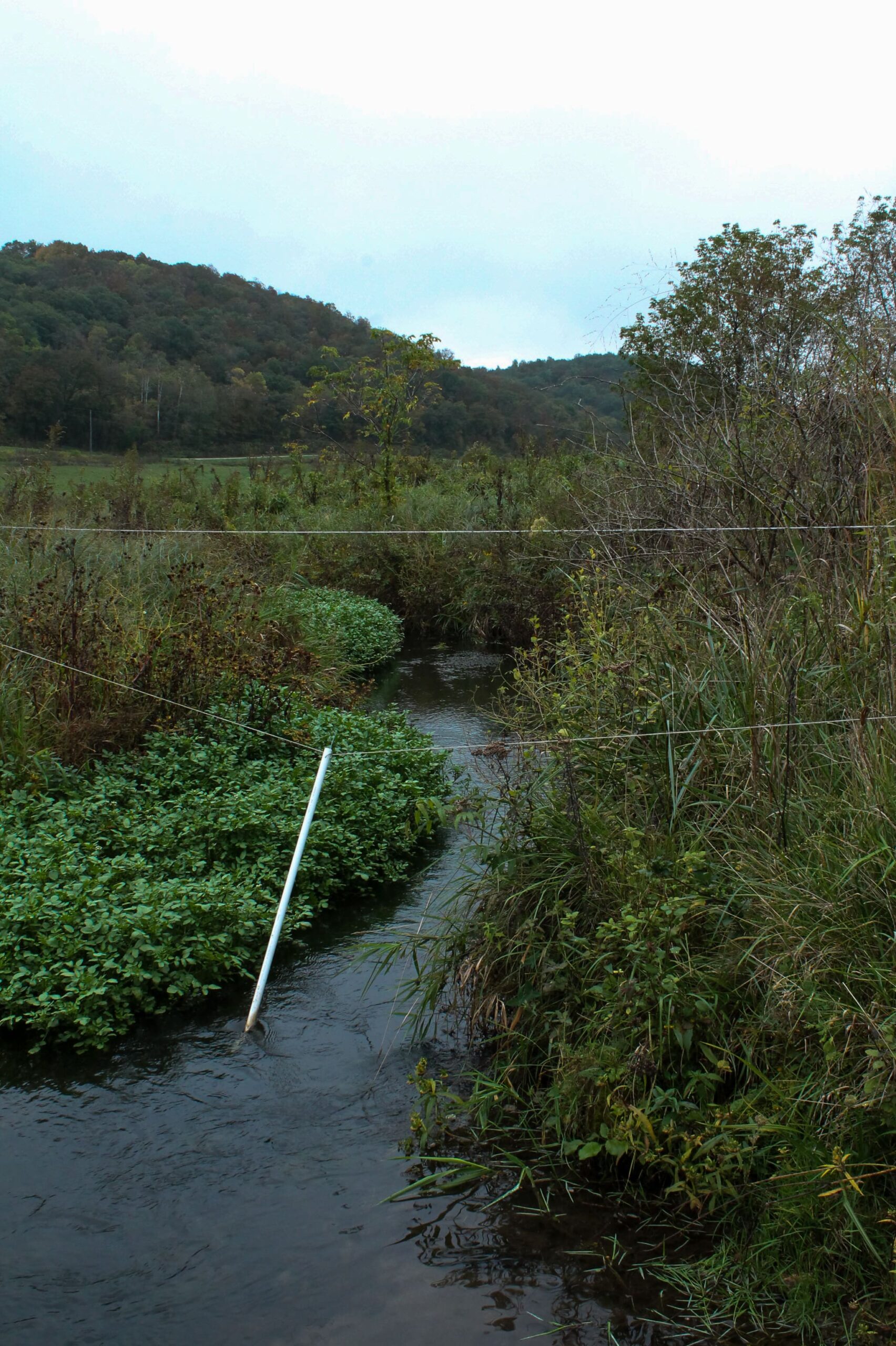 Morton_Kate_streamfence_100621