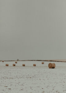 Hay Bales, near Emerald Grove. Nov. 16, 2022.
